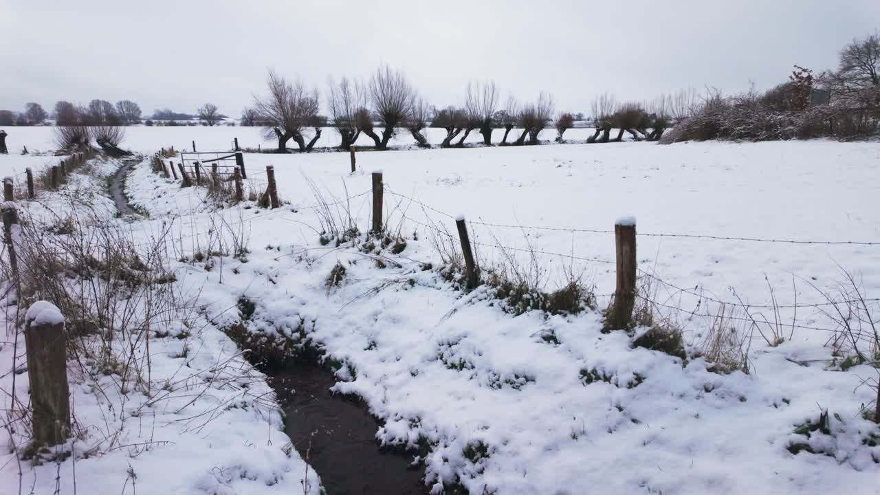 Campi agricoli olandesi in zona rurale coperti di neve fresca con filari di salici e piccolo fossato di scolo