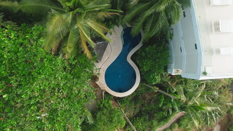 infinity swimming pool in the middle of a forest drone shot in boracay