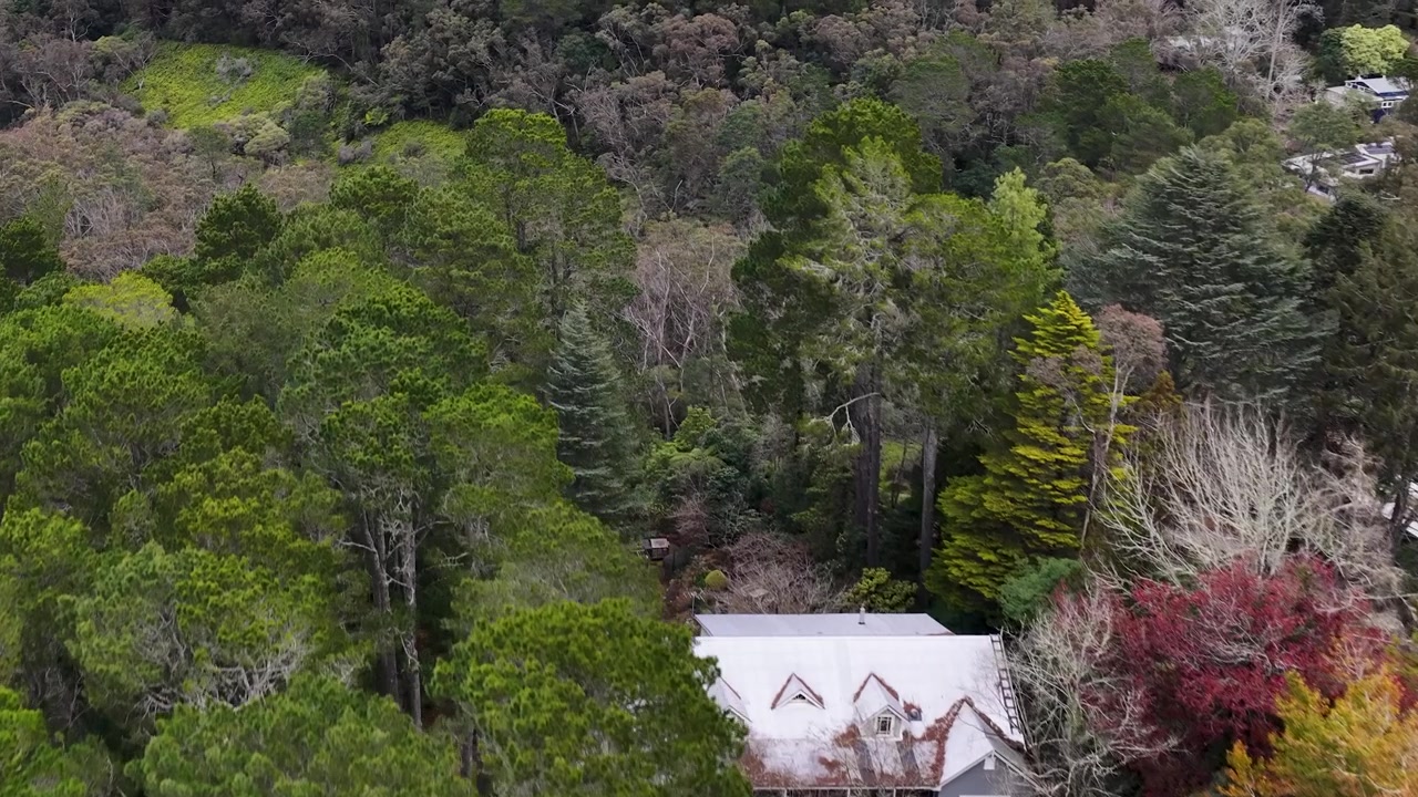 Dronekuva, joka panoroi tiheän eukalyptusmetsän ja hiekkakivikallioiden yli Wentworth Fallsissa, Australiassa
