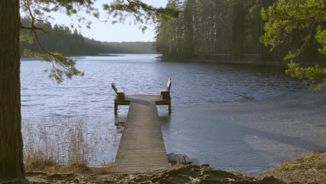 vacant wooden benches at end of wooden pier beside calm beautiful lake amidst tall coniferous trees