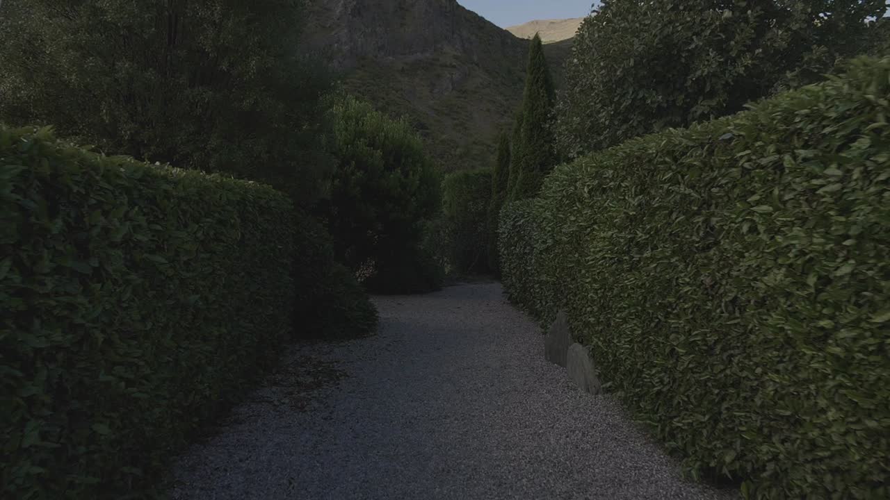 아름다운 모양의 나무 사이를 걷다