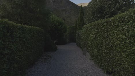 caminando a través de hermosos árboles en forma