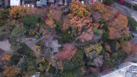 Skyline-Aerial-view-in-Motomachi,-Yokohama