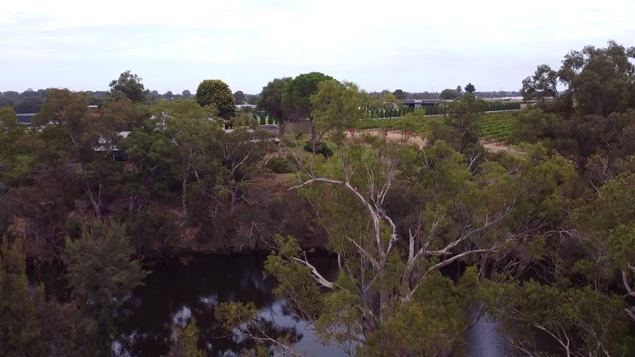 раскрытие конного центра на расстоянии от реки лебедь недалеко от вивеаша