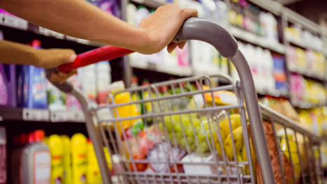 Hands-of-caucasian-female-holding-shopping-cart-in-food-market