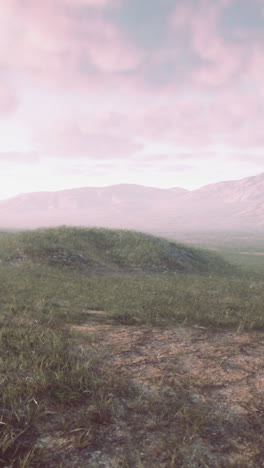 paisaje sereno de pastizales con montañas