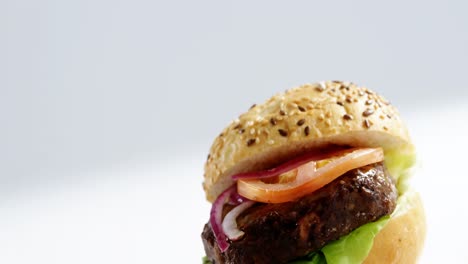 Hamburger-against-white-background