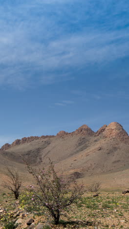 Montañas-Del-Atlas,-Marruecos-En-Vertical