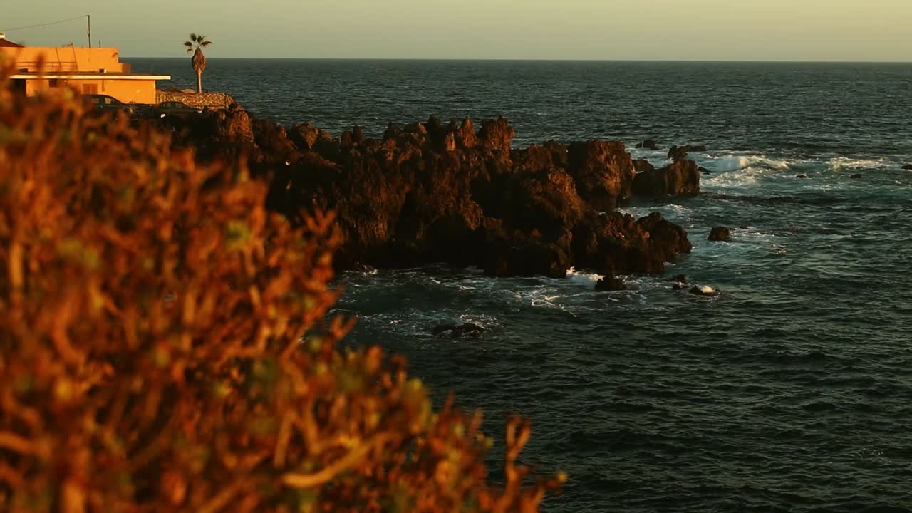 изменение фокуса от местных прибрежных растений к побережью и части здания на острове тенерифе