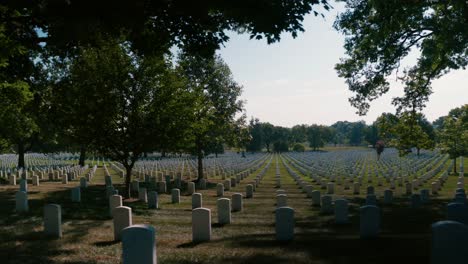 arlington cemetery grave stones grave yard trees grass sliding shot