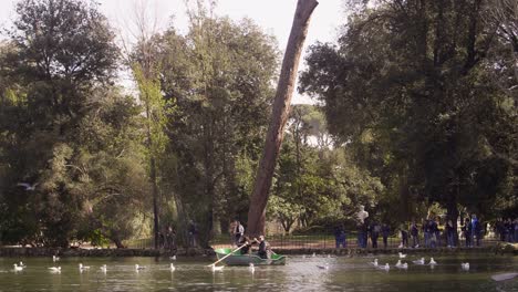 wide shot of park villa borghese lake