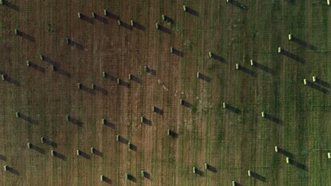 aerial view of small square hay bales