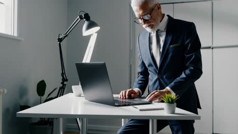 professional businessman working on laptop in office
