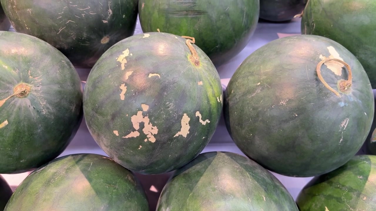 Fresh Watermelons Displayed for Sale in a Grocery Store