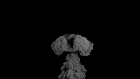 large scale smoke simulation.