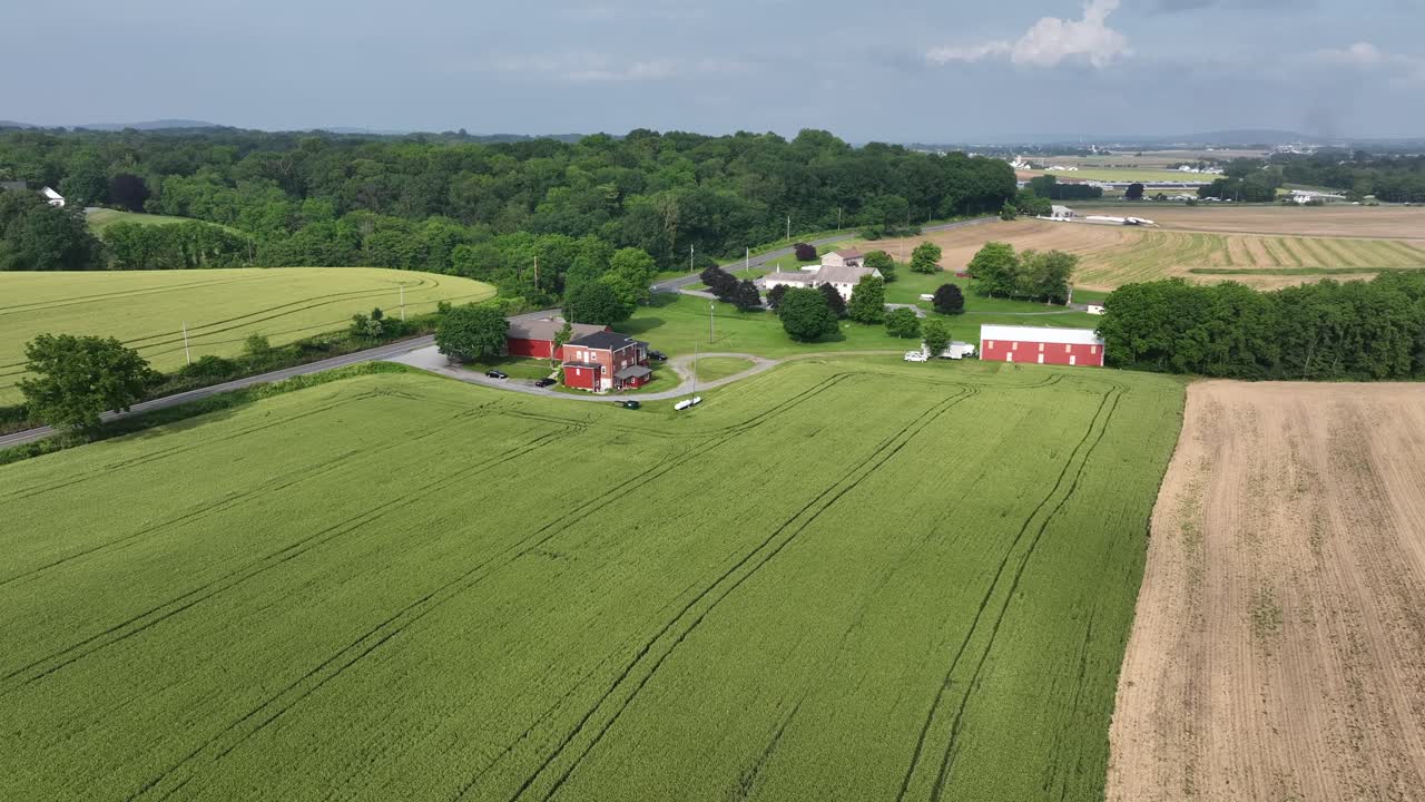 Auto all'incrocio di un edificio colonico rosso in America. Giornata estiva soleggiata. Ripresa drone con dolly in avanti. Scena pacifica con campi coltivati e terreni agricoli in crescita negli Stati Uniti.