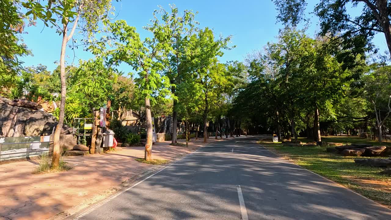 un camino sereno rodeado de exuberante vegetación