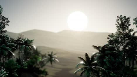 Coco-palm-trees-tropical-landscape