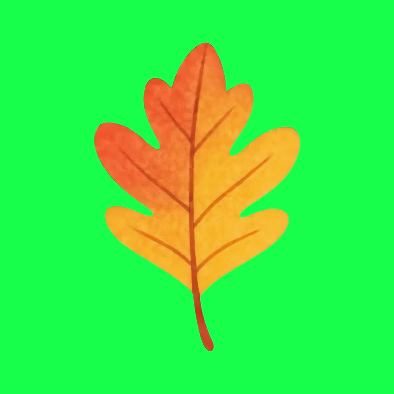 Vibrant autumn leaf illustration animation, transparent 4K video, green screen