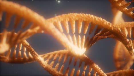double helical structure of dna strand close-up animation