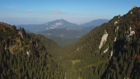 discover the beauty of the carpathian mountains. this peaceful place offers stunning views and a serene escape into nature, perfect for outdoor adventures and relaxation.