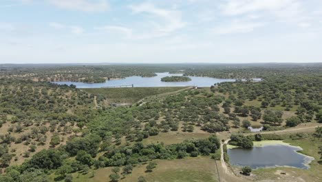 Imágenes-Aéreas-De-Un-Paisaje-Con-Un-Lago-Y-Un-Toro-Al-Fondo