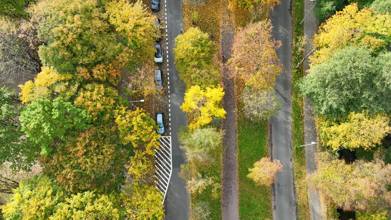 Top view of cars driving along tree-lined street in Gdańsk during golden autumn