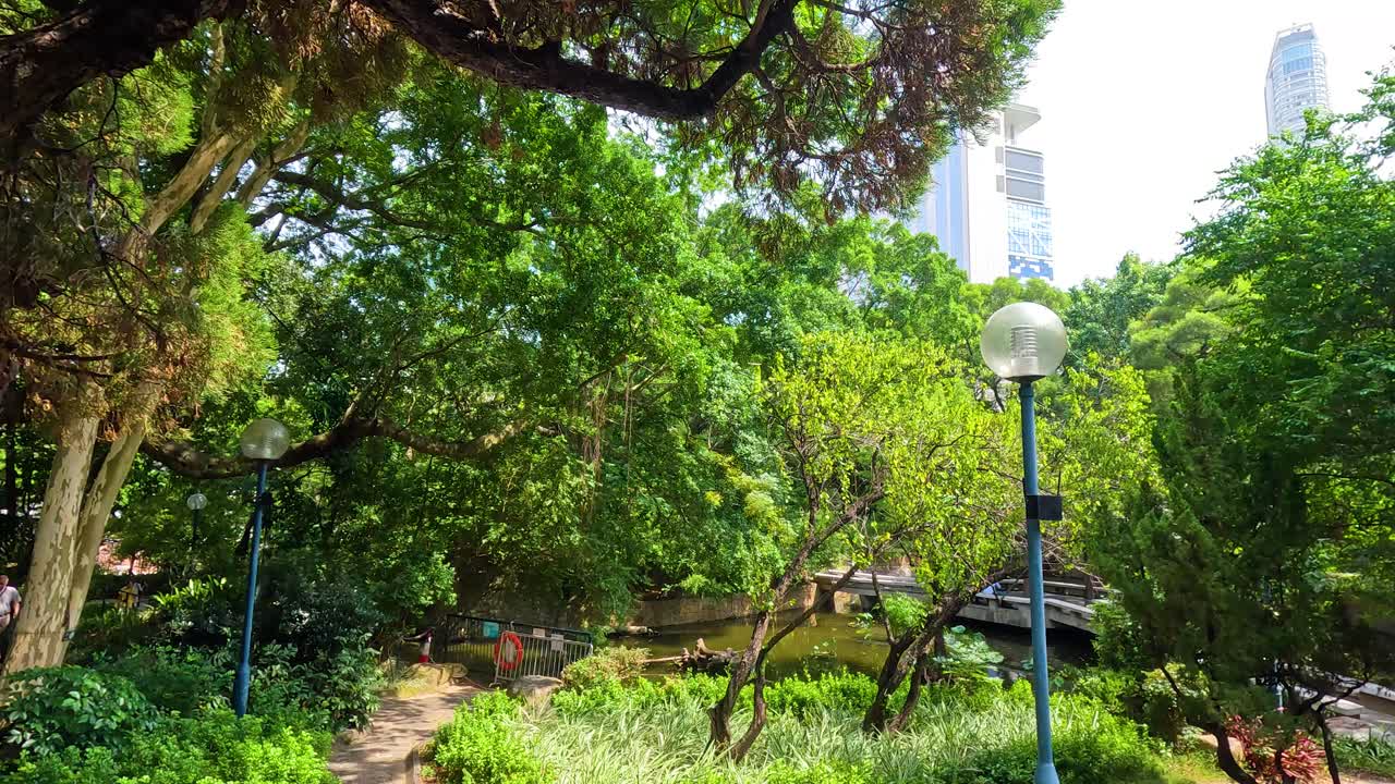 도시 공원의 울창한 초록색과 경로