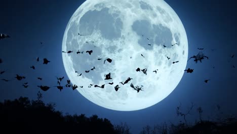 bats flying in front of the full moon