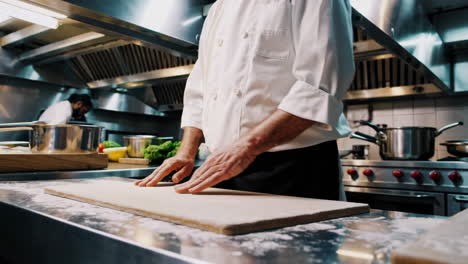 chef preparing food in a professional kitchen