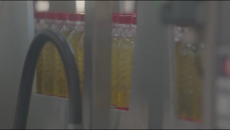 cooking oil in production, cottonseed oil, oil factory close-up shot, healthy organic natural product, reduces the risk of cardiovascular diseases, red caps, recyclable pet bottles