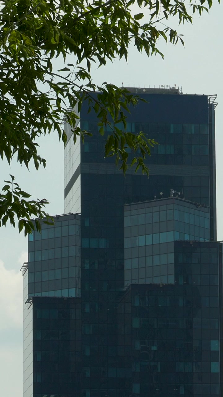 Uma tomada vertical cinematográfica de um edifício de escritórios contemporâneo em Varsóvia, Polônia, emoldurado por exuberantes galhos de árvores verdes. Perfeito para temas de sustentabilidade urbana e crescimento corporativo