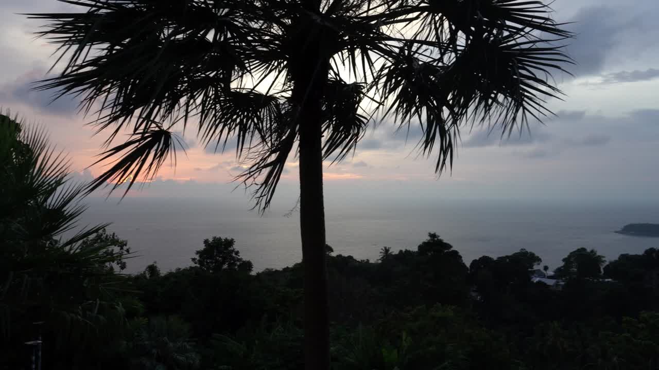 종려나무, 바다 섬, 해가 지는 아름다운 풍경