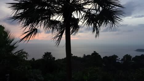 beautiful view of palm trees sea island and sunset