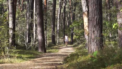 girl walking in the forest. autumn forest