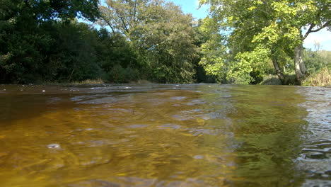 sumergirse bajo el río del bosque poco profundo hasta los rayos brillantes, bajo el agua