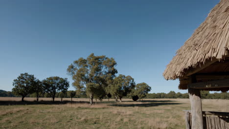 rustic gazebo with thatch roof in a wide grassy field