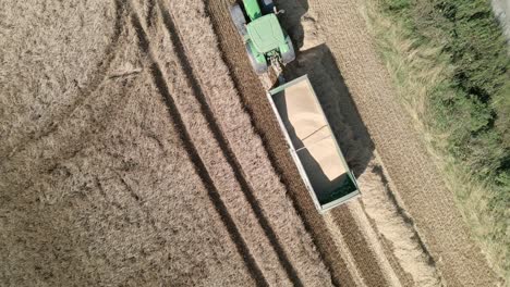 Aerial-footage-of-a-combine-harvester-and-tractor-harvesting-a-wheat-crop