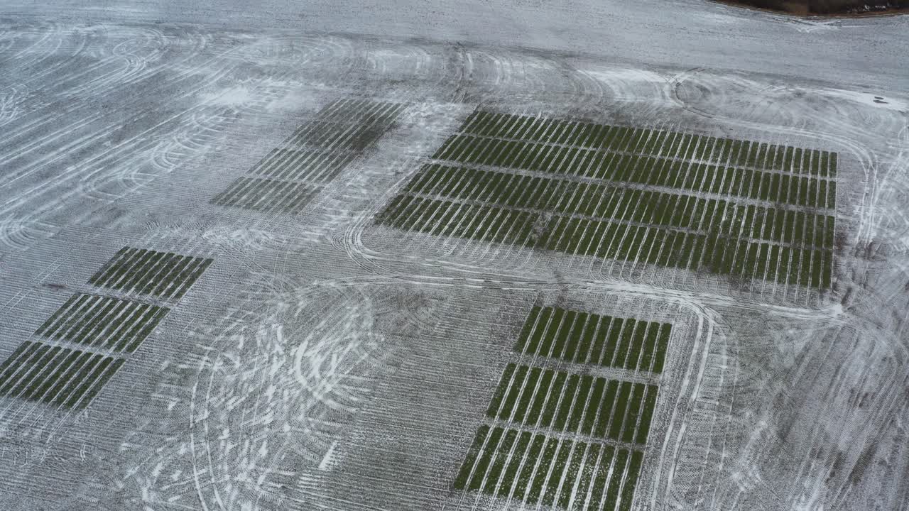 vista de arriba en la agricultura experimental ensayo de campo de grano durante el día helado
