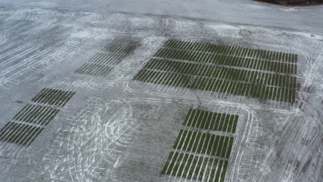 Oben-Ansicht-Auf-Experimentellen-Landwirtschaftlichen-Getreidefeldversuch-Während-Frostigen-Tag