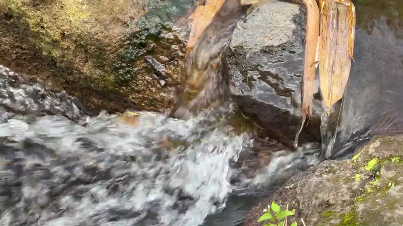 Piccolo ruscello che scorre sulle rocce in natura