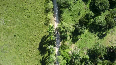 AERIAL:-Drone-Shot-of-people-riding-ATVs-through-trees