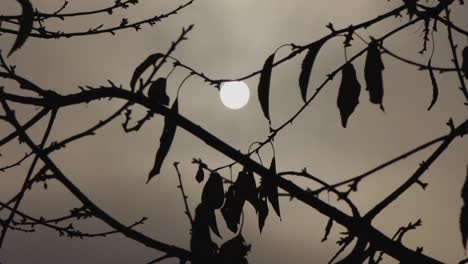 contaminación y nubes oscuras que ocultan el sol