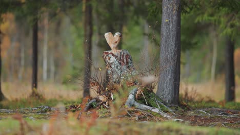 Eine-Herzförmige-Skulptur-Aus-Einem-Baumstumpf-Im-Herbstlichen-Wald