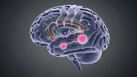 a captivating visualization of a human brain showcasing neural activity with colorful patterns and dynamic elements representing cognitive processes