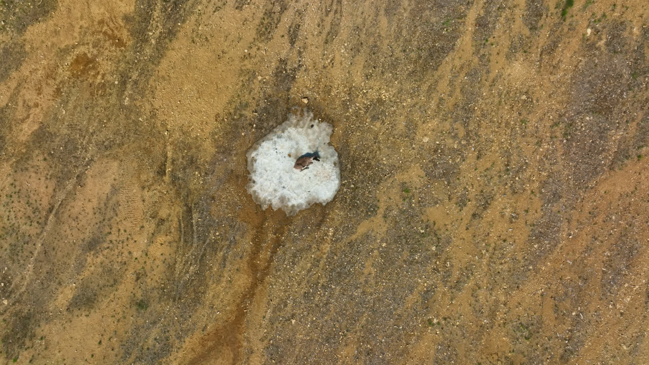 핀란드의 은 여름날, 눈이 내리는 곳에서 냉각하는 사의 새 눈 드론