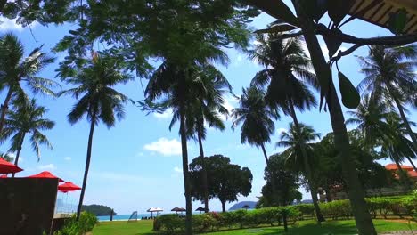 Fabelhaftes-Luxusresort-Mit-Kokospalmen-Und-Sonnenstrahlen-In-Langkawi,-Malaysia