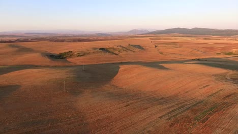 aerial over golden fields of wheat in macedonia the balkans eastern europe 1