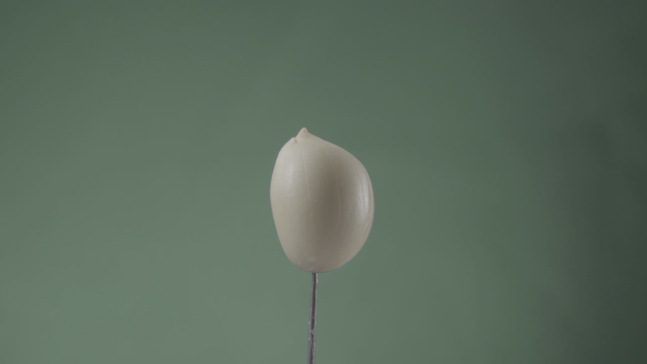 크로마 키를 위해 녹색 화면에 루프와 함께 땅콩 회전