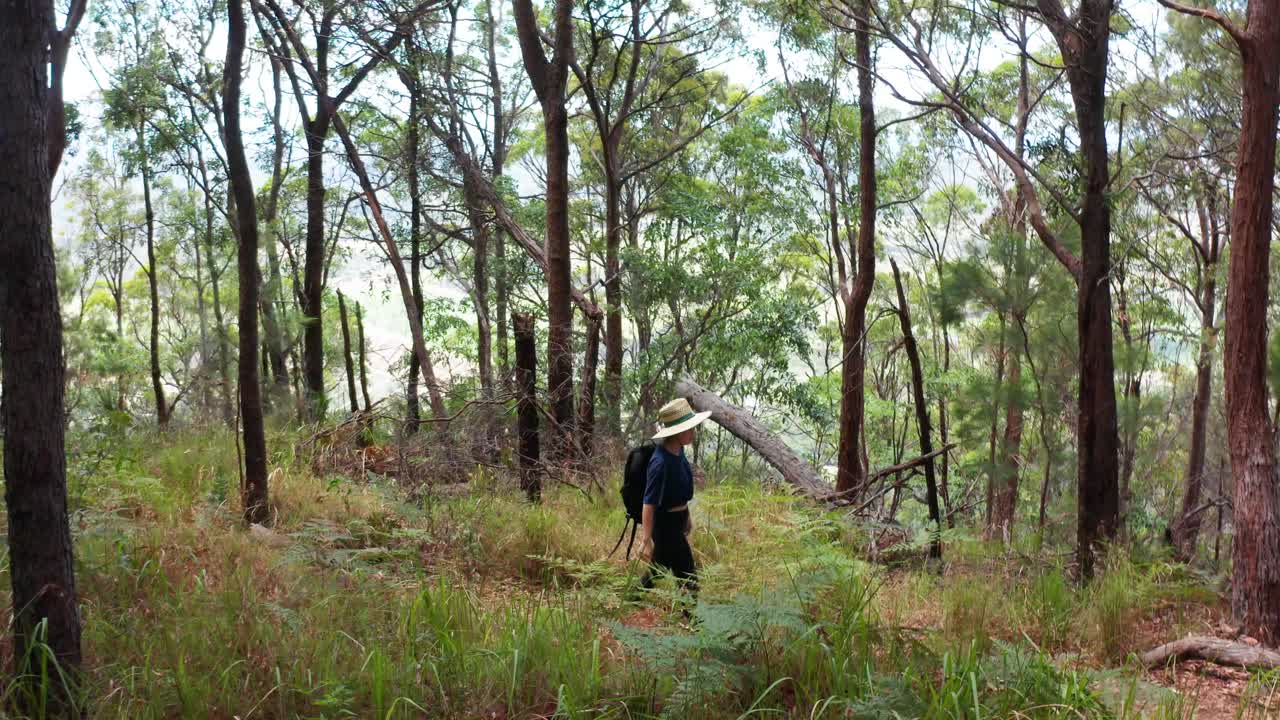배경에 있는 나무들을 통해 전망을 감상하며 산 위를 걷는 등산객의 돌리 샷